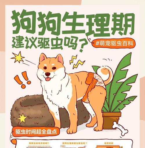 如何正确给狗狗驱虫全攻略(图2)