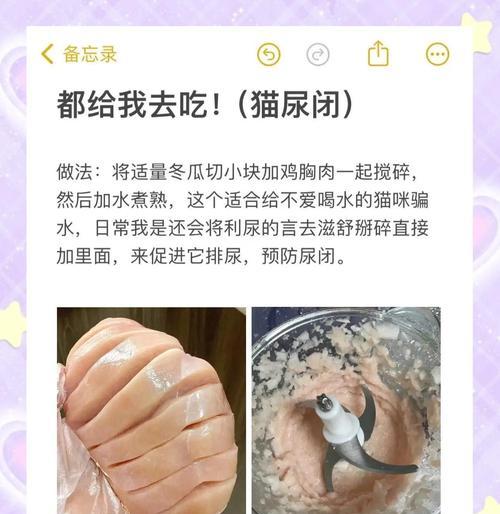 猫咪鸡胸脯喂养频率全攻略(图1)