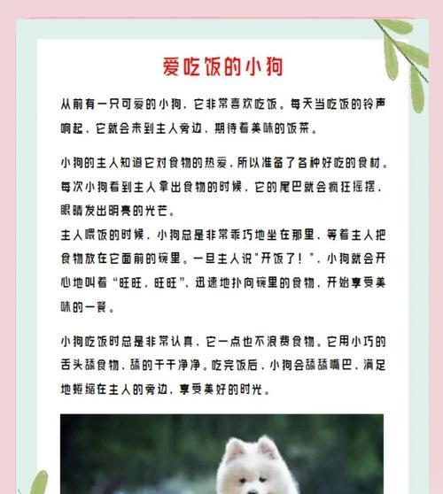 小狗每天吃一顿饮食节律形成全攻略(图2)
