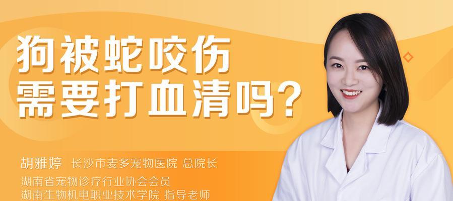 狗打血清持续多久活泼全攻略(图1) 狗打血清持续多久活泼全攻略(图1)