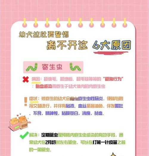 新手养狗须知|拉布拉多腹泻解决实用指南(图2) 新手养狗须知|拉布拉多腹泻解决实用指南(图2)