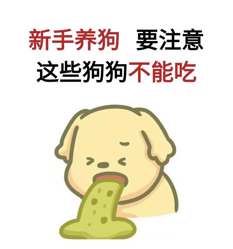 新手养狗须知|拉布拉多腹泻解决实用指南(图3) 新手养狗须知|拉布拉多腹泻解决实用指南(图3)
