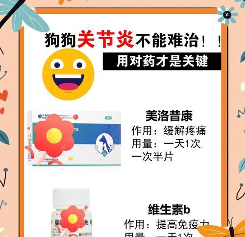 狗狗止痛药持续时间全攻略(图3) 狗狗止痛药持续时间全攻略(图3)