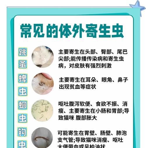 猫咪驱虫重要性及频率选择全攻略(图3) 猫咪驱虫重要性及频率选择全攻略(图3)