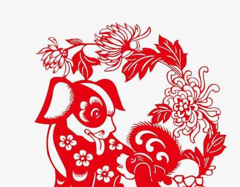 狗狗拉红色血便治疗全攻略(图3) 狗狗拉红色血便治疗全攻略(图3)