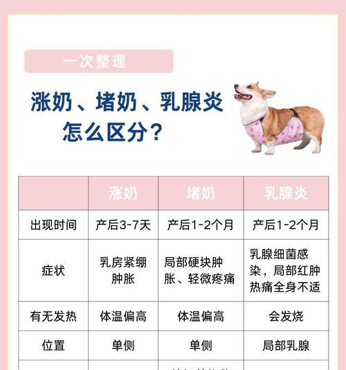 狗狗产后乳汁分泌全攻略(图2)