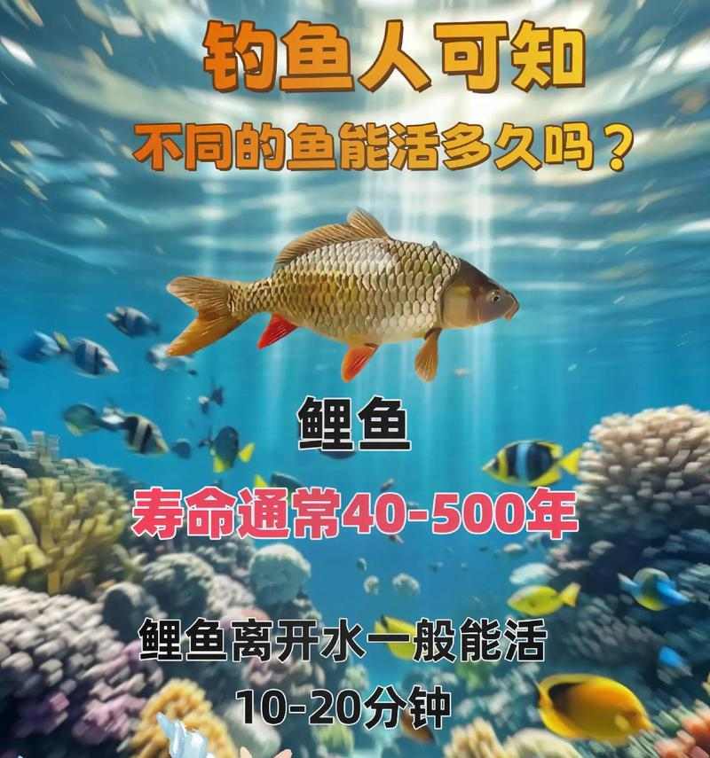 金鱼寿命全攻略(图4) 金鱼寿命全攻略(图4)