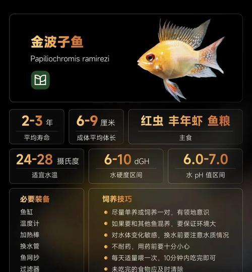 金鱼寿命全攻略(图2) 金鱼寿命全攻略(图2)
