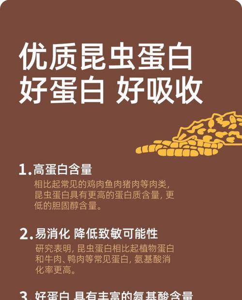 小泰迪何时开始吃狗粮全攻略(图3) 小泰迪何时开始吃狗粮全攻略(图3)