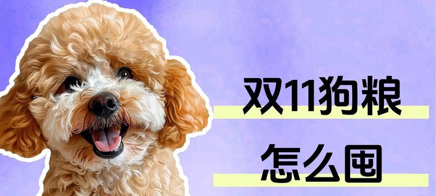 小泰迪何时开始吃狗粮全攻略(图2) 小泰迪何时开始吃狗粮全攻略(图2)