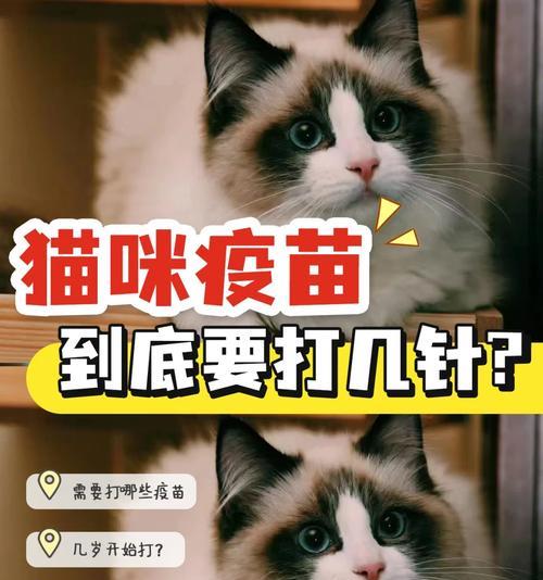 狗狗缩宫素使用频率与注意事项全攻略(图3) 狗狗缩宫素使用频率与注意事项全攻略(图3)