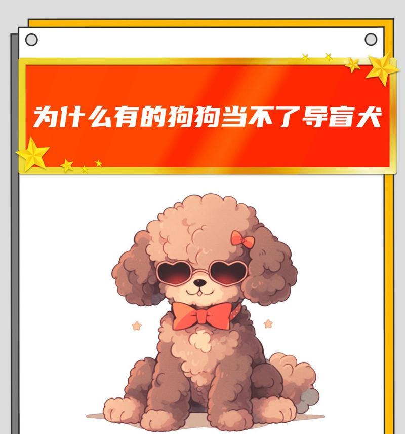 泰迪狗一直抖的原因解析|全面指南(图3) 泰迪狗一直抖的原因解析|全面指南(图3)