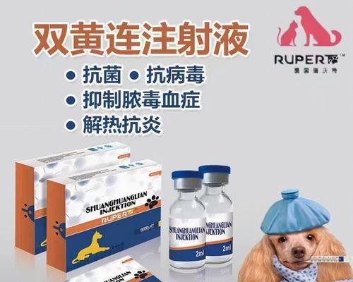 猫感冒怎么办全攻略(图4) 猫感冒怎么办全攻略(图4)