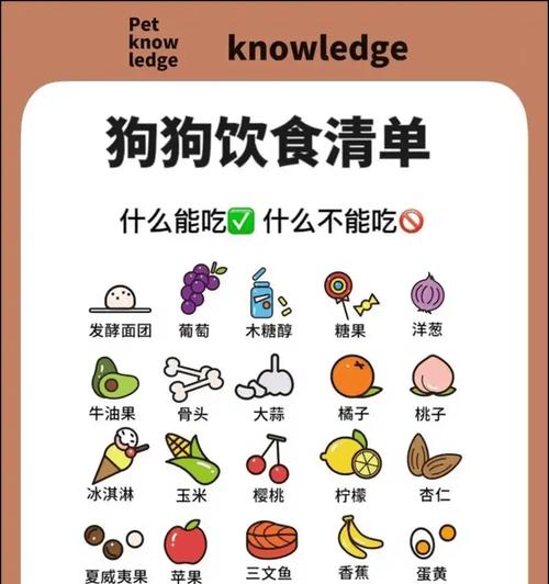 狗狗如何补充营养全攻略(图3) 狗狗如何补充营养全攻略(图3)