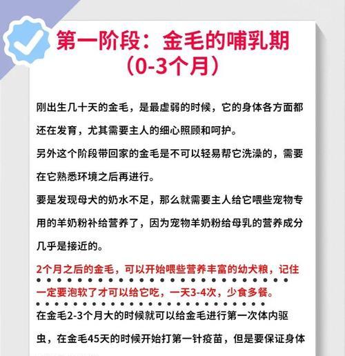 金毛成长时间表全攻略(图1)
