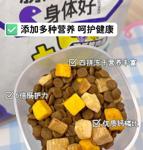 泰迪魅力与多样性全攻略(图1)