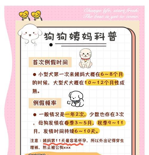 母狗哺乳频率规律及喂养注意事项全攻略(图2)
