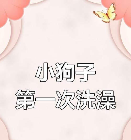 金毛犬产后洗澡时间及护理全攻略(图1)