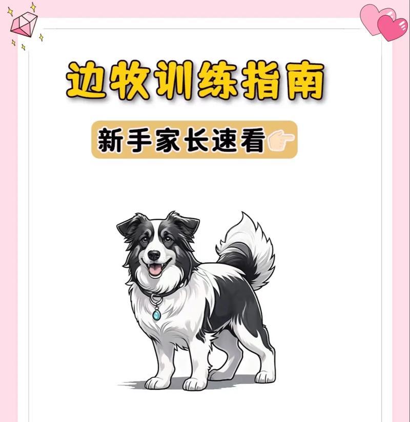 如何正确抱起狗狗全攻略(图1)