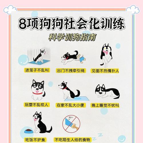 如何正确抱起狗狗全攻略(图3)