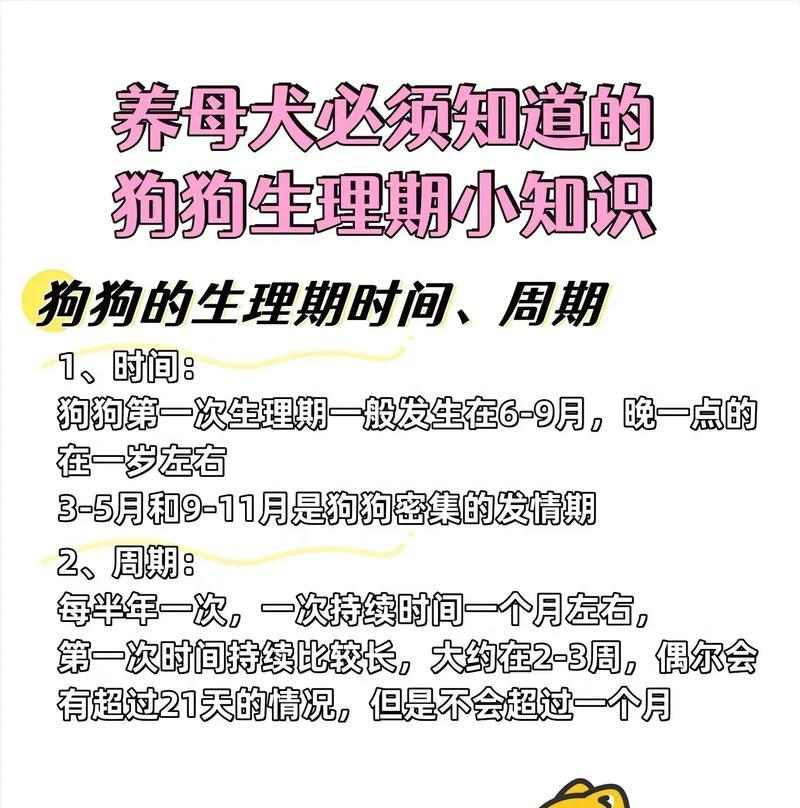 母狗哺乳频率规律及喂养注意事项全攻略