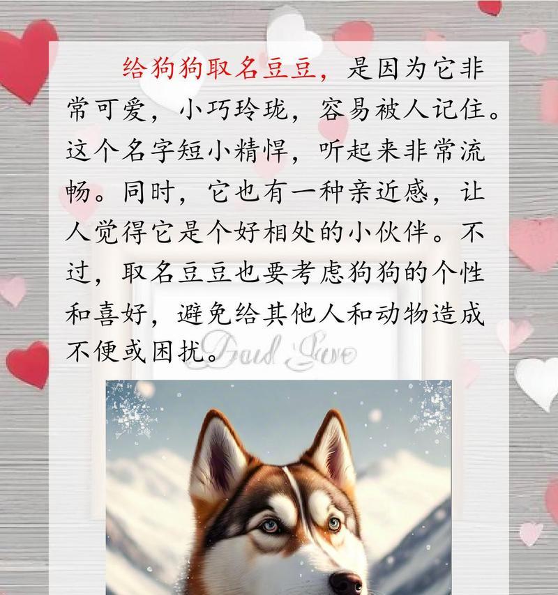 狗的记忆力奥秘与限制全攻略(图1)