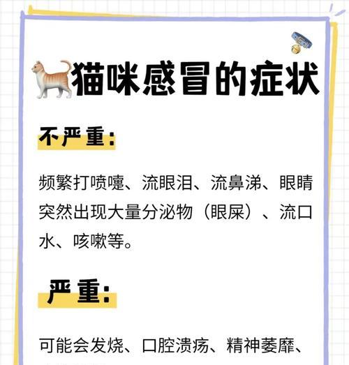 猫感冒康复时间及影响因素全攻略(图3)