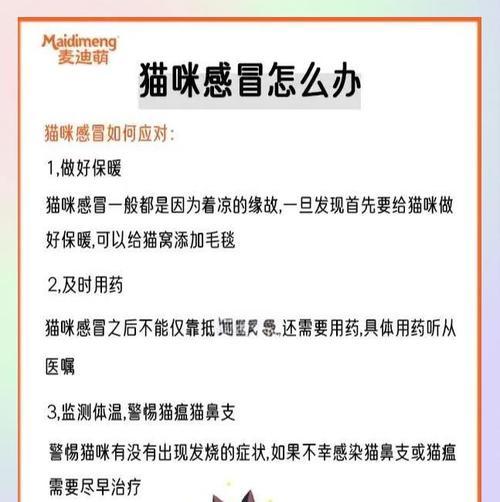 猫感冒康复时间及影响因素全攻略(图2)
