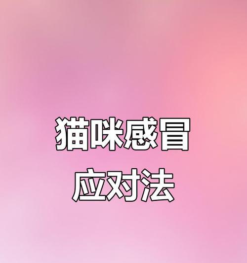 猫感冒康复时间及影响因素全攻略