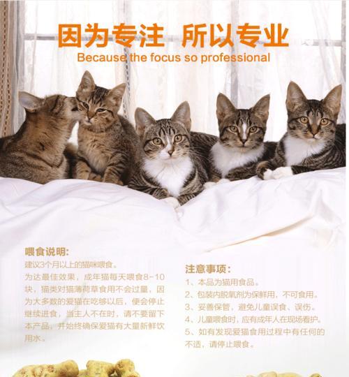 宠物小鱼喂养频率及注意事项全攻略(图3)