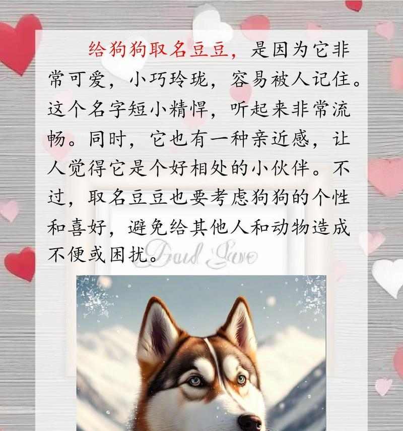 狗的记忆力奥秘与限制全攻略