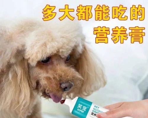 金毛营养膏使用时长解析｜科学喂养全攻略(图2)