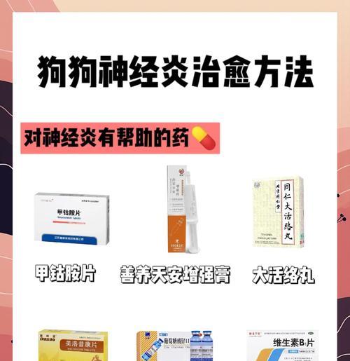 狗狗增强抵抗力药物指南｜提升免疫力实用方法(图3)