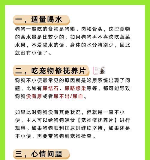狗狗尿液变黄原因解析｜健康问题全攻略(图4)