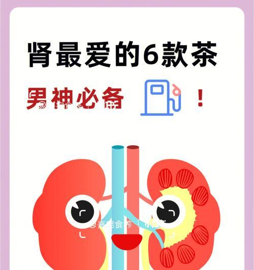 狗狗肾脏疾病危害与防护指南｜爱肾护肾全攻略(图2)