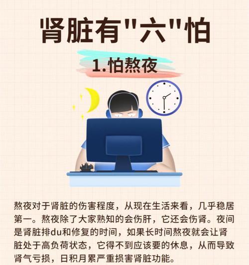 狗狗肾脏疾病危害与防护指南｜爱肾护肾全攻略(图1)