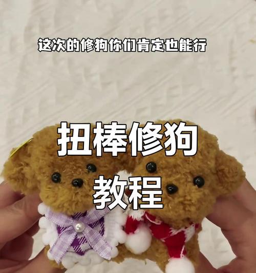 宠物狗造型修剪时间与频率全攻略(图3)