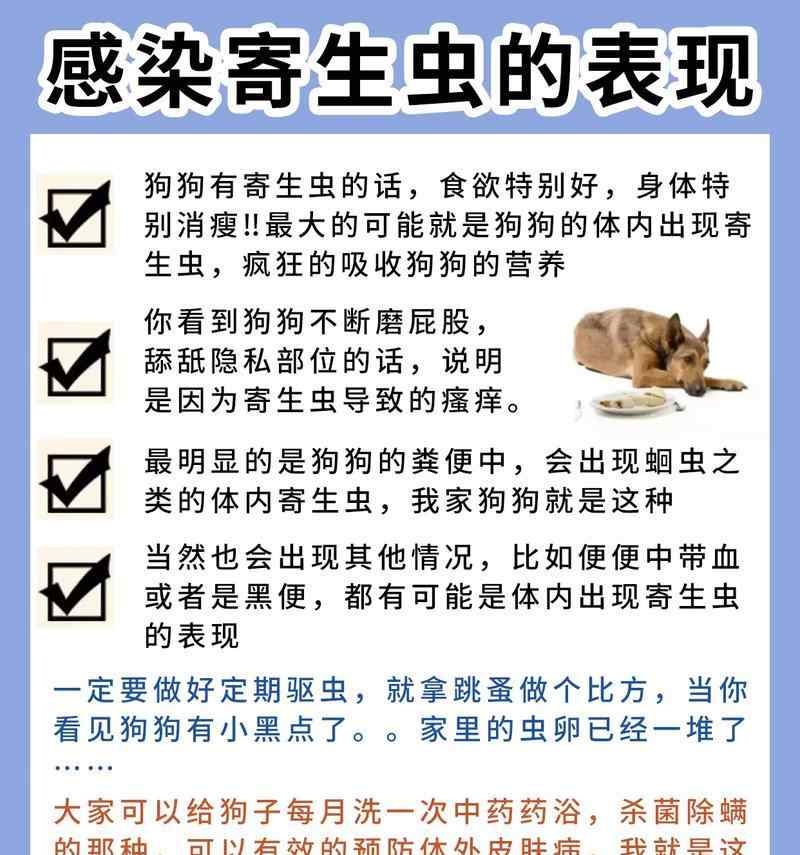 宠物狗疾病传染预防指南｜常见疾病及应对措施(图2)