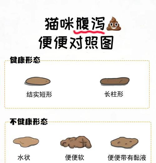 猫咪便便判断图解析｜健康状况全攻略(图2)