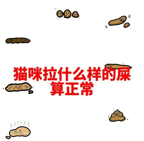 猫咪便便判断图解析｜健康状况全攻略(图3)