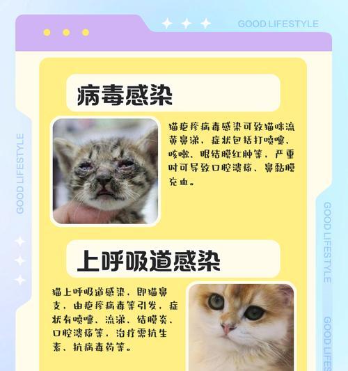 蓝猫频繁打喷嚏流鼻涕原因及护理指南