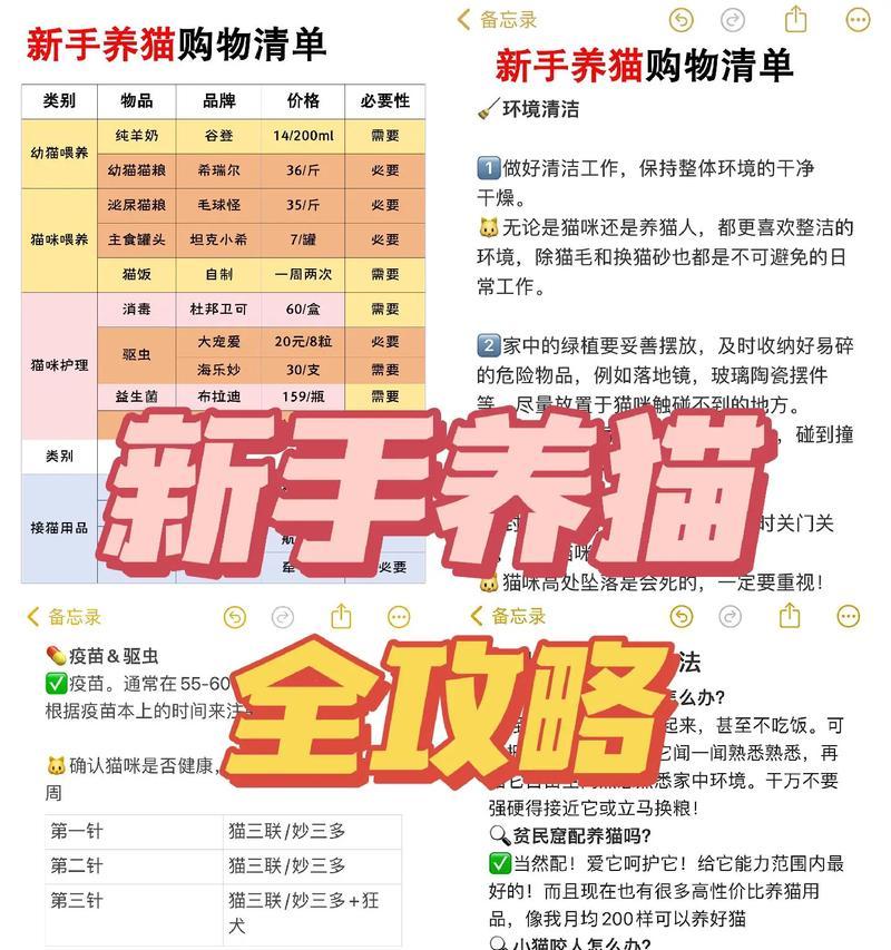 新手养猫注意事项｜全面照顾指南(图2)