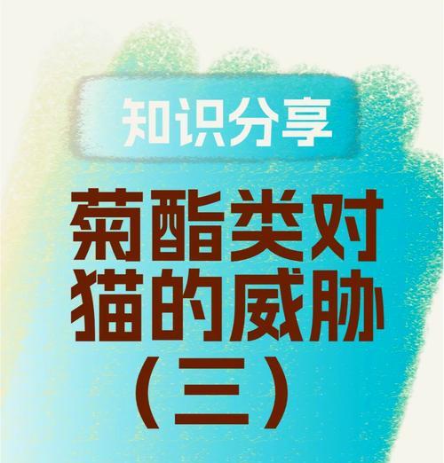 小猫中毒康复方法全攻略(图3)