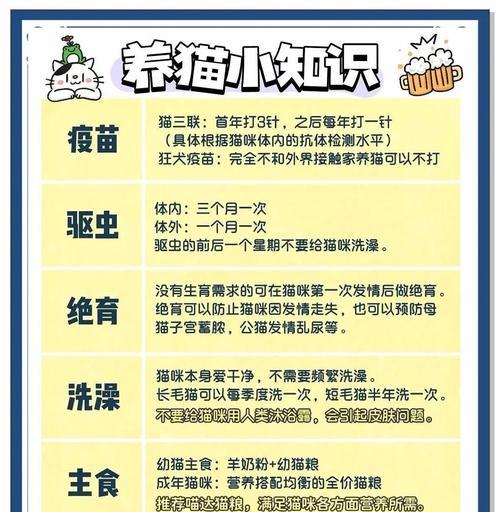 新手养猫注意事项｜全面照顾指南(图3)