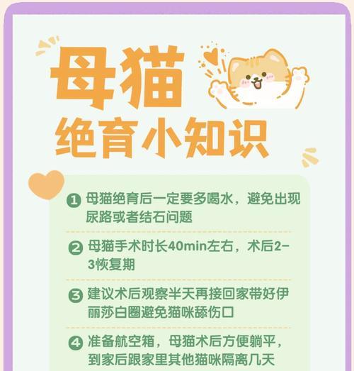 母猫绝育恢复期护理要点｜术后注意事项全解析(图3)