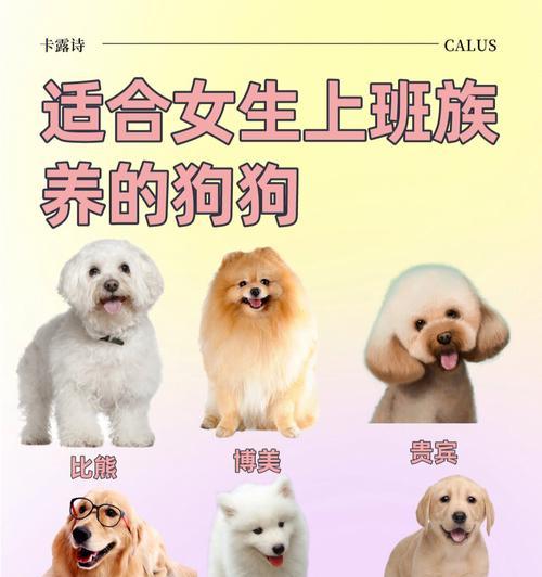 不同品种宠物全攻略｜了解最受欢迎的宠物类型(图2)