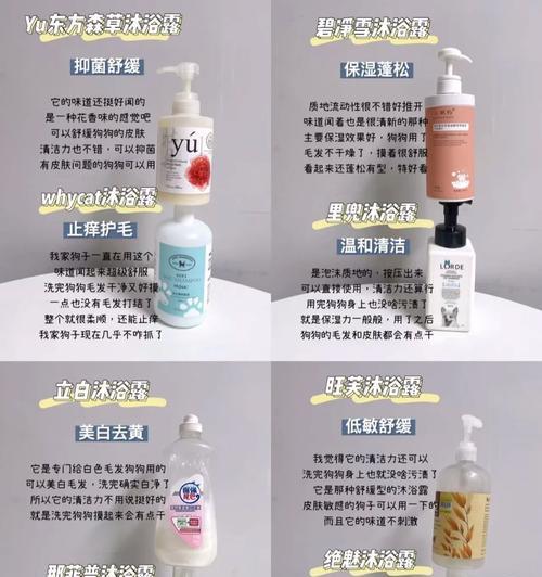 狗流产后洗澡注意事项｜科学护理全攻略(图3)