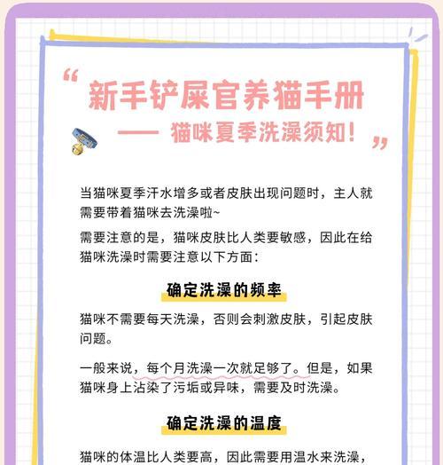 猫咪洗澡时间与方法|科学清洁全攻略(图1) 猫咪洗澡时间与方法|科学清洁全攻略(图1)