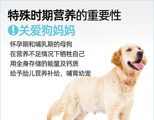 母狗怀孕后期照顾全攻略(图2) 母狗怀孕后期照顾全攻略(图2)