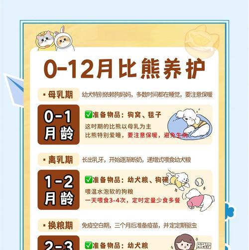 比熊犬饲养全攻略(图5) 比熊犬饲养全攻略(图5)